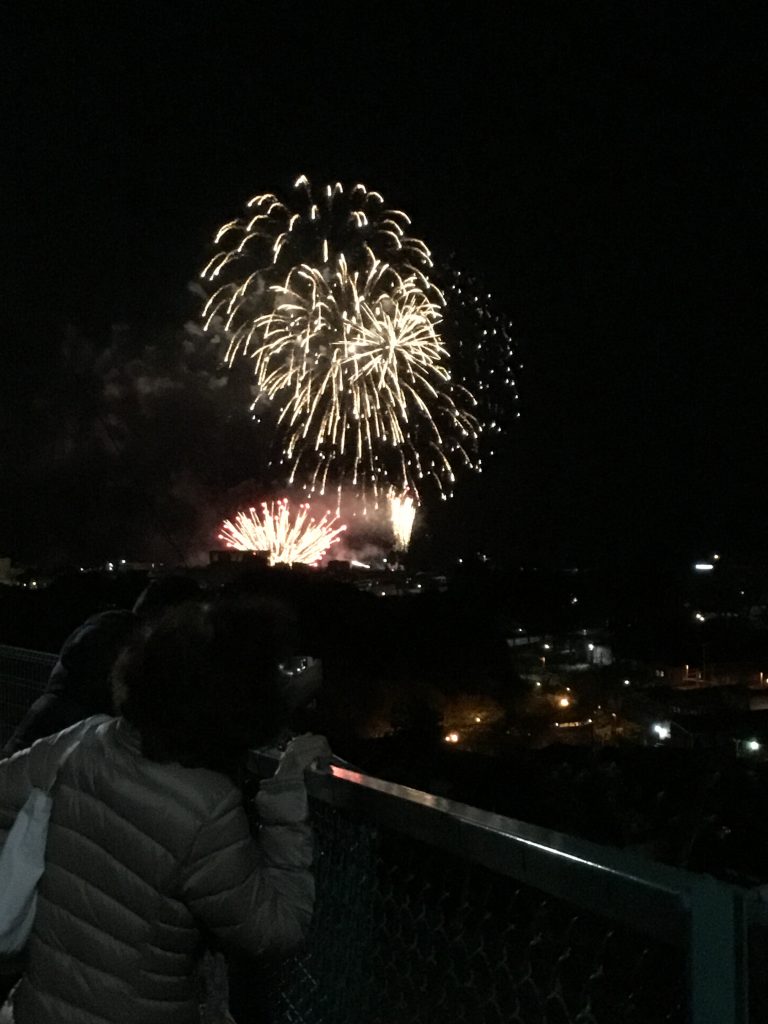 小田原御幸の浜花火大会 アイファースト 東京海上日動代理店